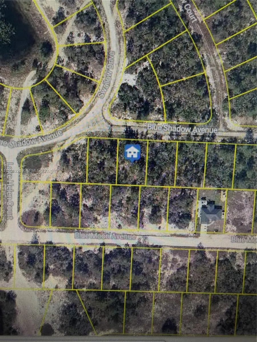 459 Ruba Ave, Lake Placid, FL 33852 - #1