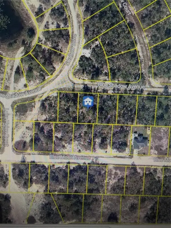 459 Ruba Ave, Lake Placid, FL 33852