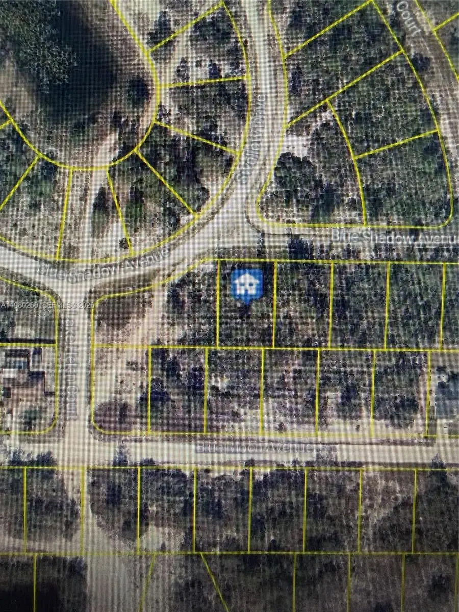 457 Ruba Ave, Lake Placid, FL 33852 - #1