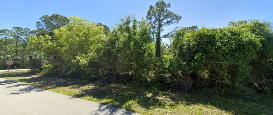 235 Deerwalk Ave, Lake Placid, FL 33852 - #3