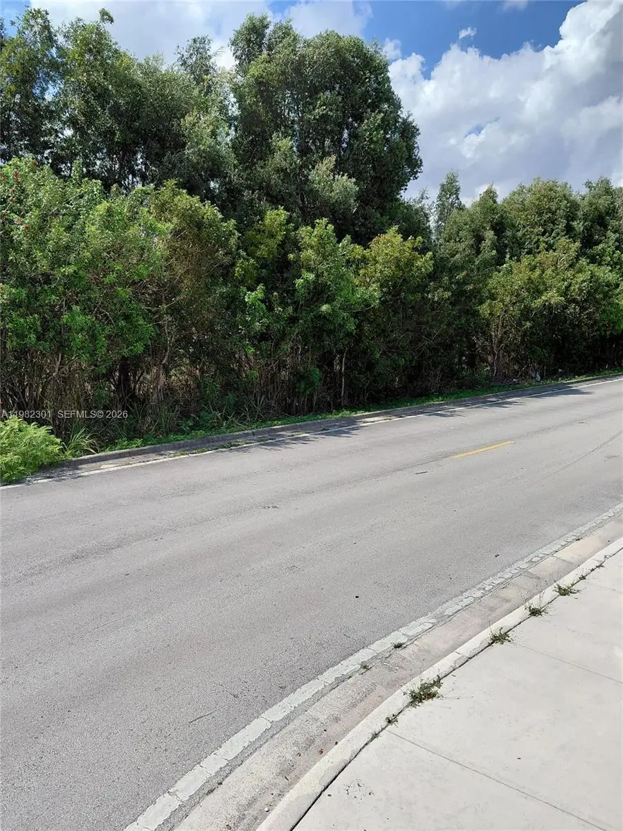 168xx 45th St, Miami, FL 33185 - #3