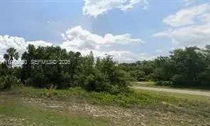 Lot #8 Jabara Lane, Port Labelle, FL 33935 - #1