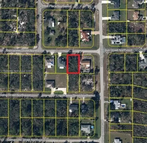 102 Buccaneer Street Nw, Lake Placid, FL 33852 - #1