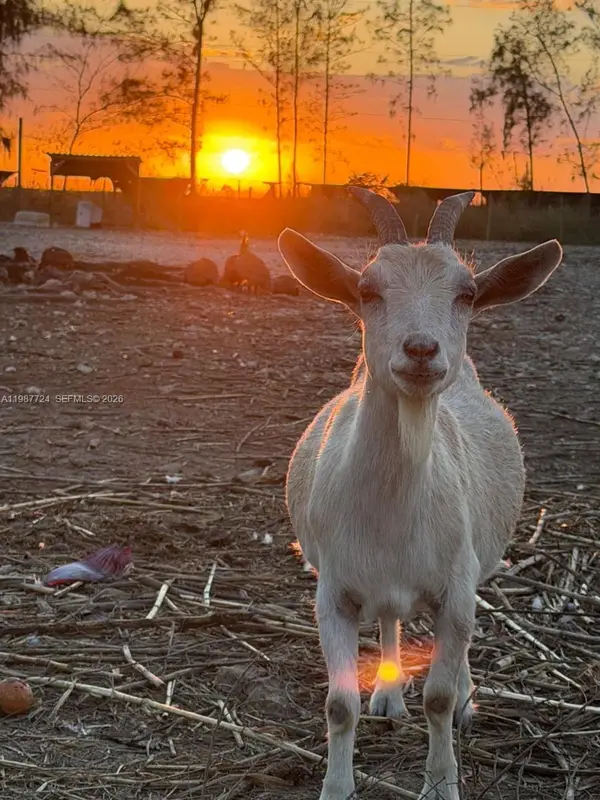 208 Ave, Miami, FL 33196