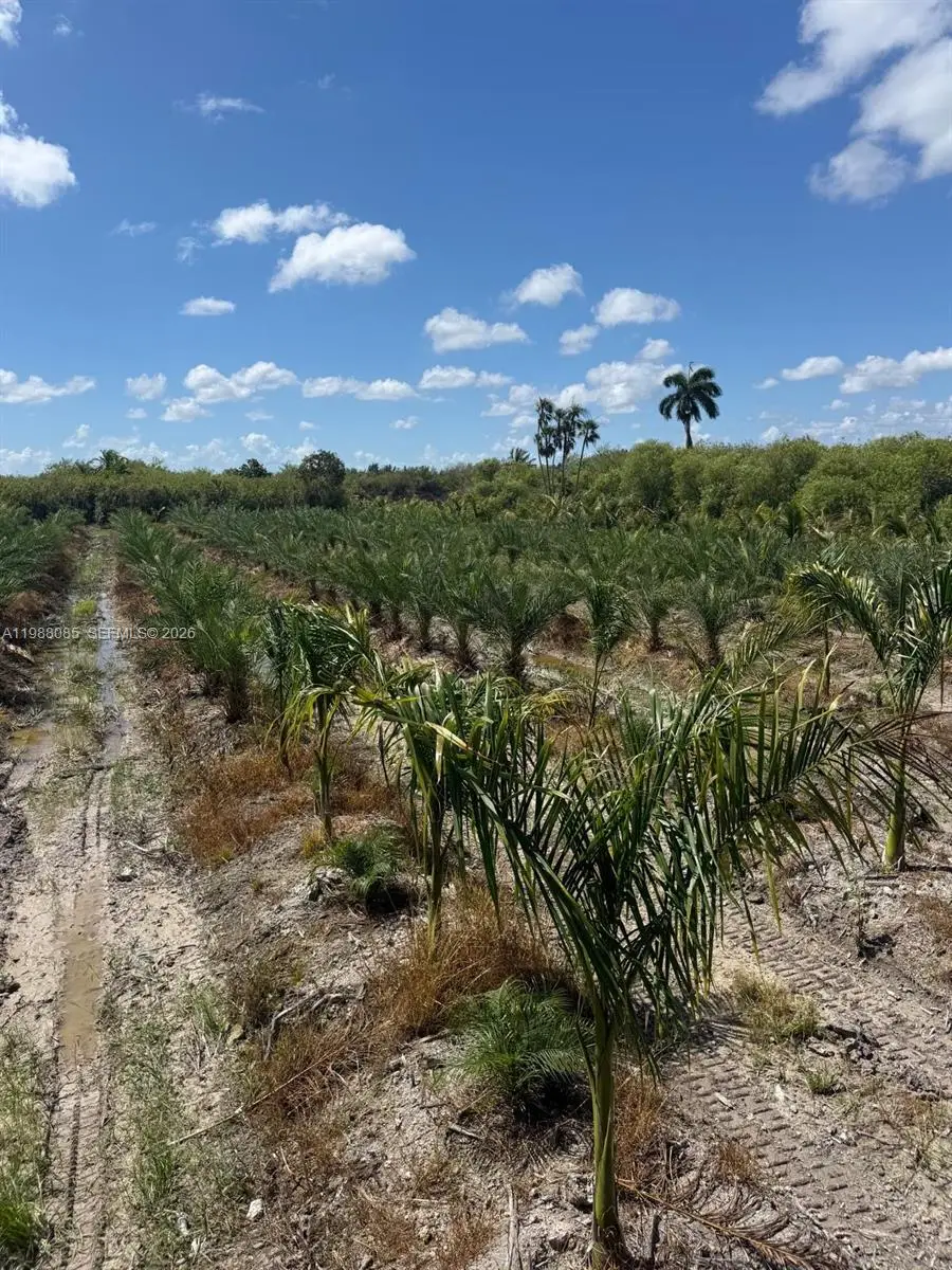 122 Ave Sw 330 St, Homestead, FL 33035 - #3