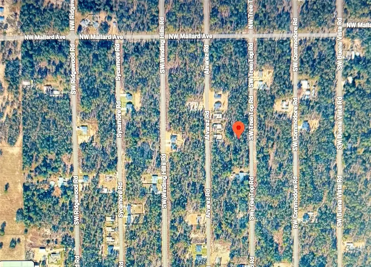 206 SW Tree Top Road, Rainbow Lakes Estates, FL 34431 - #1