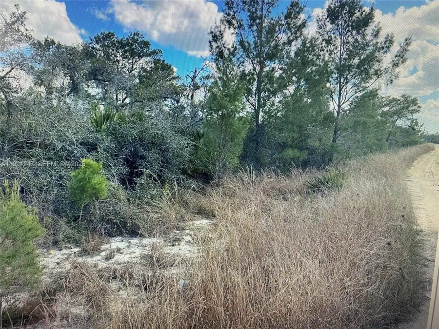 123 Dartmoor Ave, Lake Placid, FL 33852 - #3