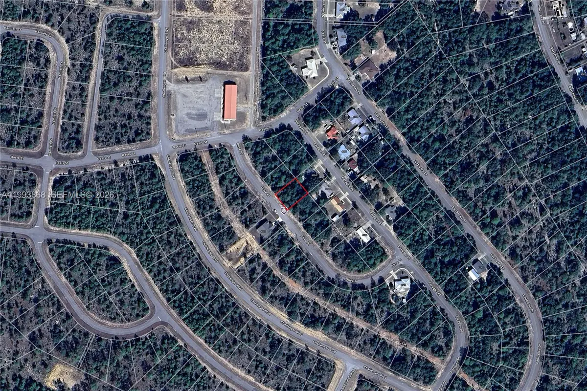 Olive Pl Lot 5 Blk 166 Sunny Hills, Sunny Hills, FL 32428 - #1