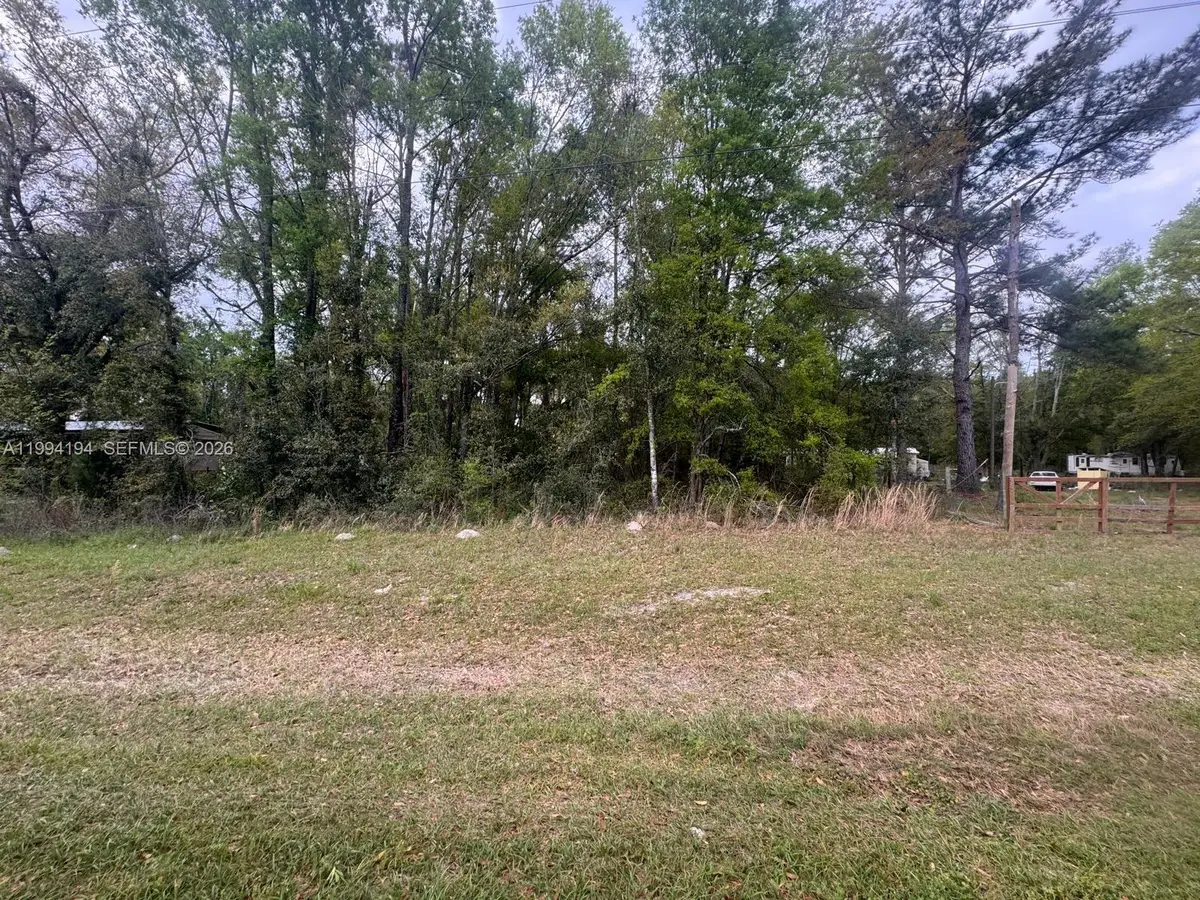 13776 144th St, McAlpin Wellborn, FL 32060 - #1