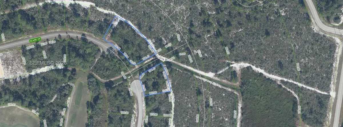 5434 Blaine Drive, Sebring, FL 33872 - #1