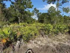 1604 Clayton Ave, Lehigh Acres, FL 33972 - #3