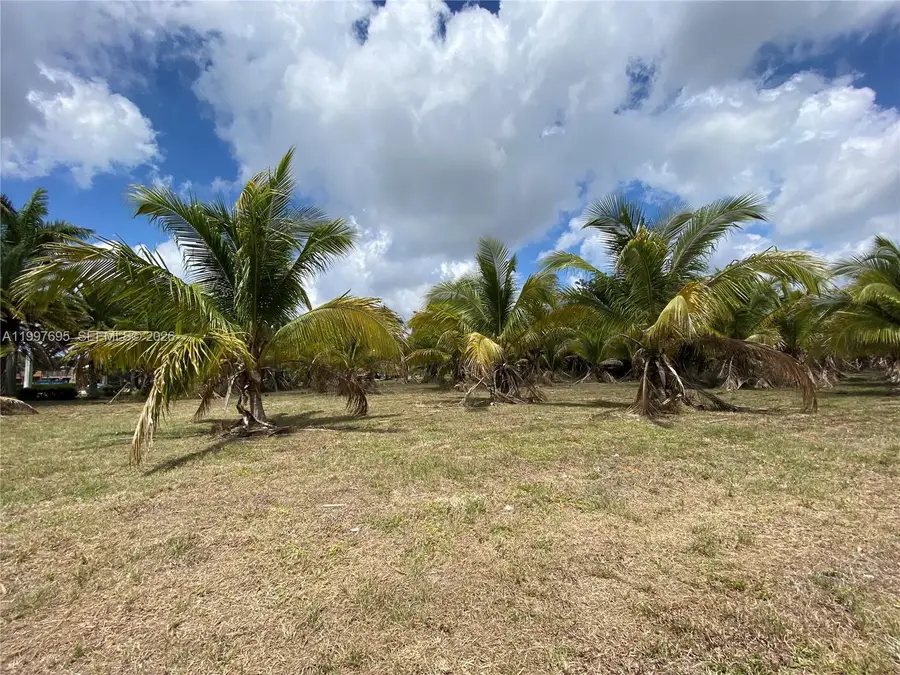 4411 Forest Hill Blvd, Palm Springs, FL 33406 - #3