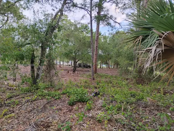 845 Appaloosa Avenue, Clewiston, FL 33440