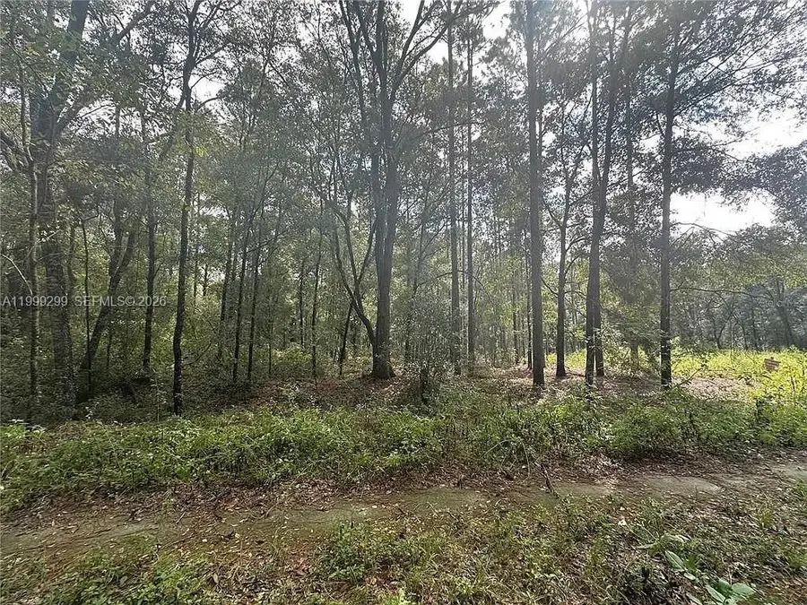 0 SW 153rd Ave, Ocala, FL 34481 - #3