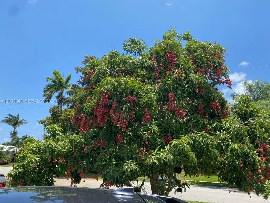 1251 SW 11th Ter, Boca Raton, FL 33486 - #2