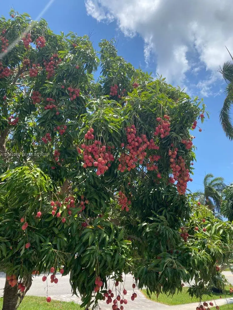 1251 SW 11th Ter, Boca Raton, FL 33486 - #3