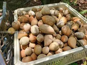 15300 SW 193, Everglades, FL 33187 - #3