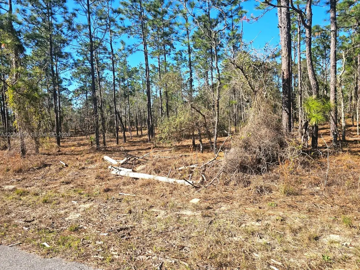 NO Situs NW Shamrock Ave, Rainbow Lakes Estates, FL 34431 - #1