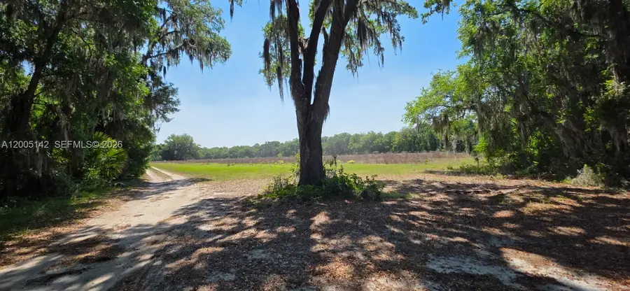 0 SE 225th Dr, Hawthorne, FL 32640 - #2