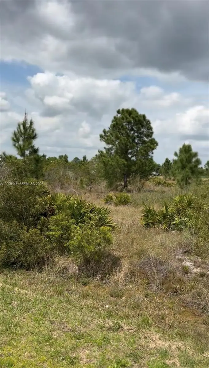 2458 W Butkus Rd, Avon Park, FL 33825 - #1