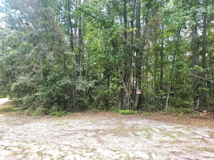 No situs Se 2nd St, Palatka, FL 32177 - #2