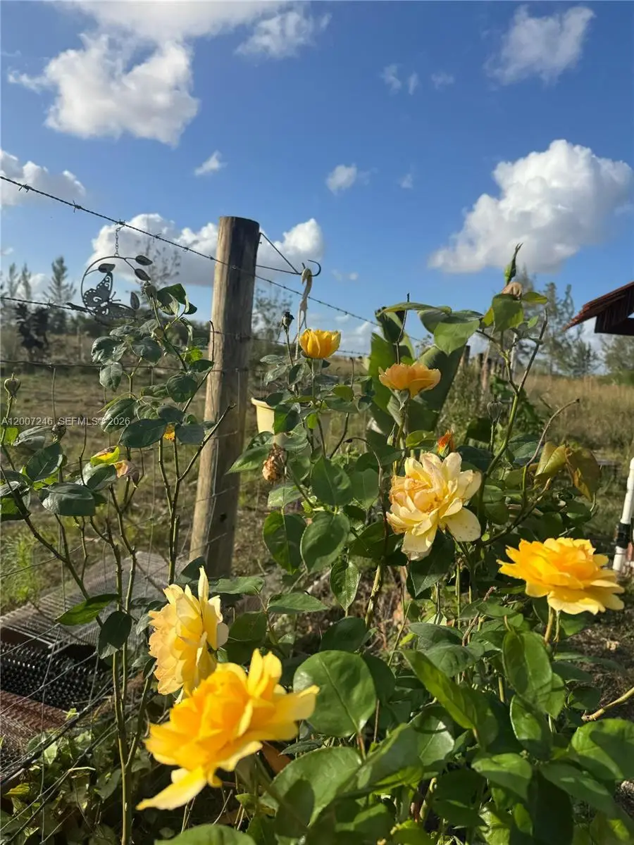 14370 SW 208 Ave, Miami, FL 33196 - #2