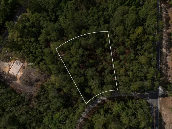 0 Fisher Trace Dr, Other, FL 32179