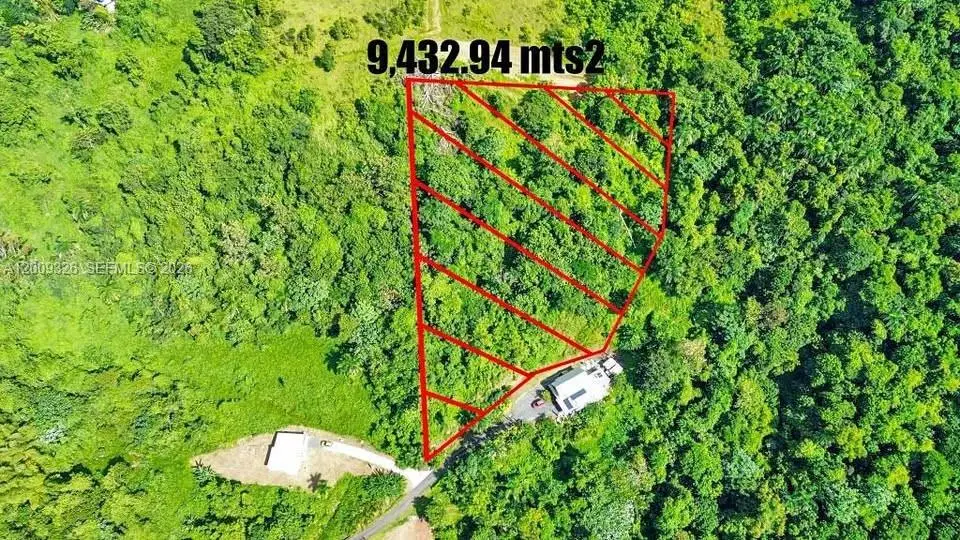 Bo. Campo Rico Carr 9957 Solar F Km3.2, Canovanas, PR 00729 - #1