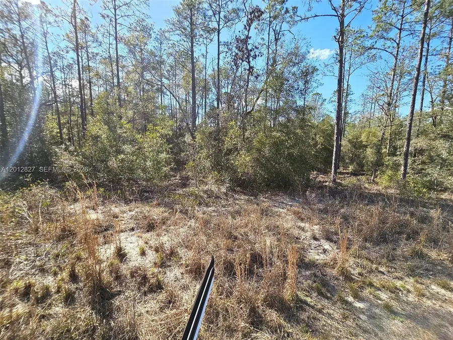 No situs SW Breezy Point Dr., Dunnellon, FL 34431 - #3