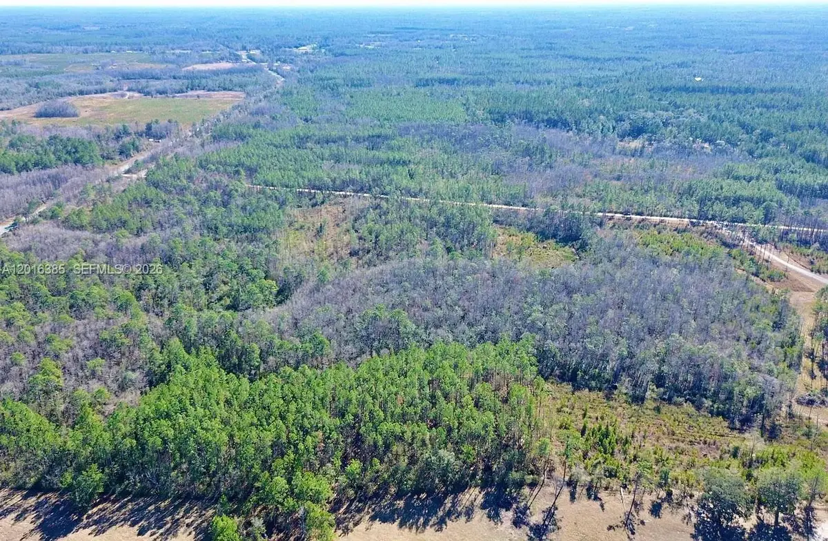 Vacant Land Sands Loop SW Greenville, Other, FL 32331 - #1