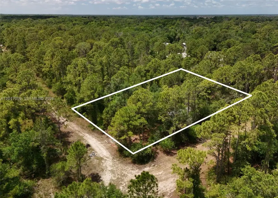 0 SW Nassau Ave, Arcadia East, FL 34266 - #2