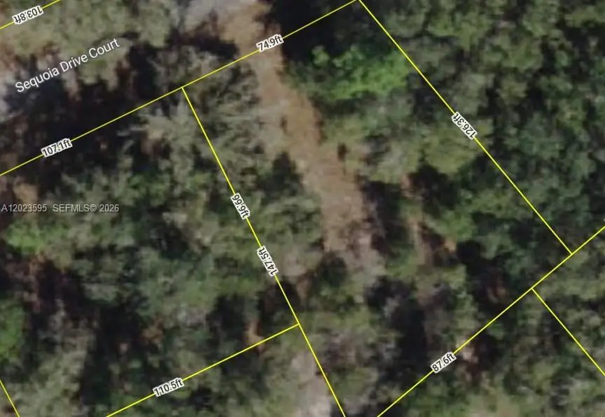 Lot 14 Sequoia Drive Court, Silver Springs Shores East, FL 32179 - #1