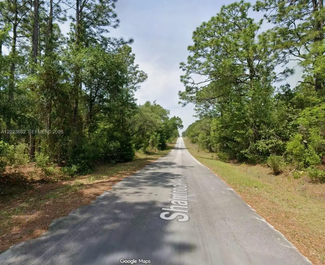 Lot 47 Shamrock Avenue, Rainbow Lakes Estates, FL 34431 - #1
