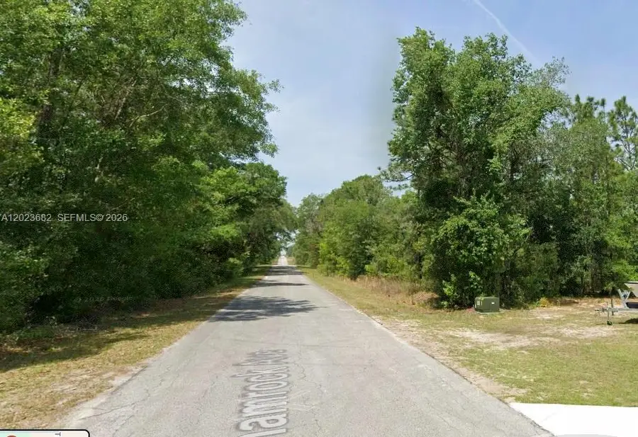 Lot 47 Shamrock Avenue, Rainbow Lakes Estates, FL 34431 - #3