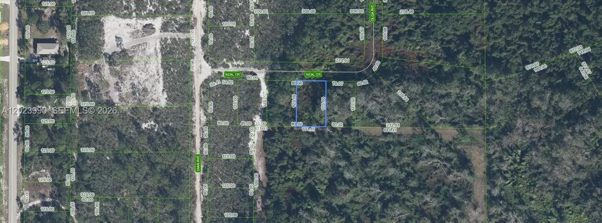 817 Neal, Sebring, FL 33875 - #1