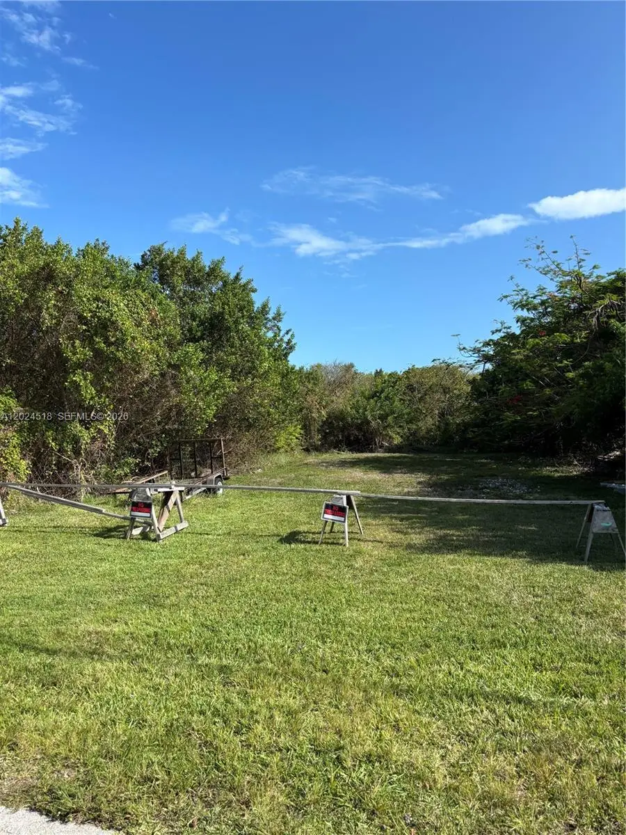 0 Palm, Summerland Key, FL 33042 - #1