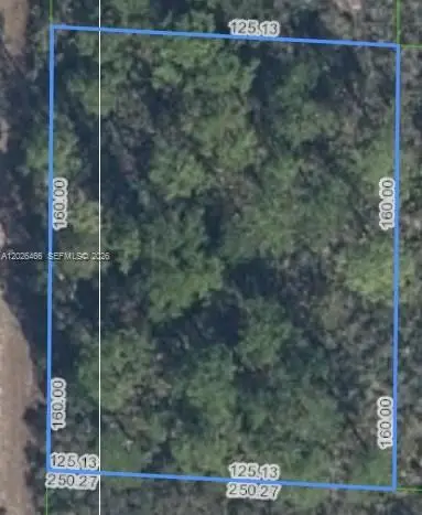1139 Brook Hollow Rd, Lake Placid, FL 33852 - #1