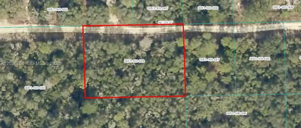 TBD NE 236, Fort McCoy, FL 32134 - #1