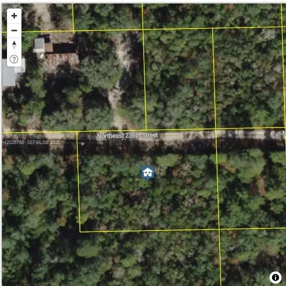 TBD NE 236, Fort McCoy, FL 32134 - #2