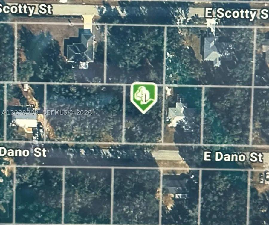4043 E Dano, Inverness, FL 34453 - #2