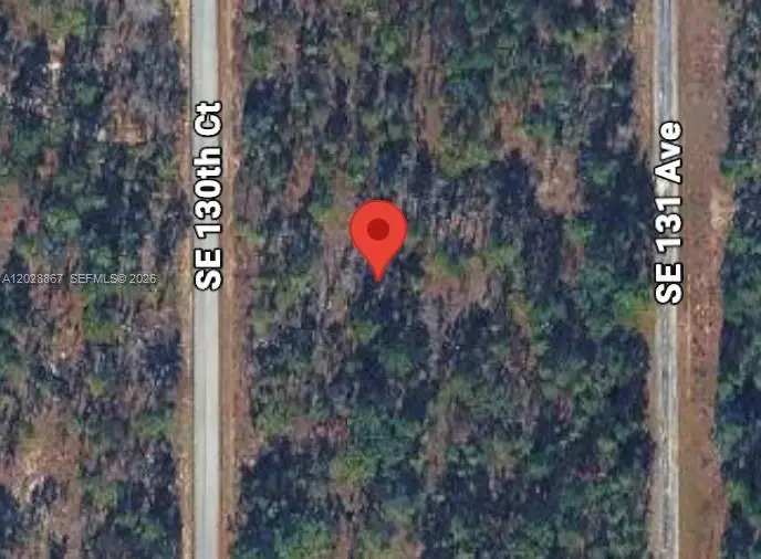 Lot 49 SE 130th Ct, Rainbow Lakes Estates, FL 34431 - #2