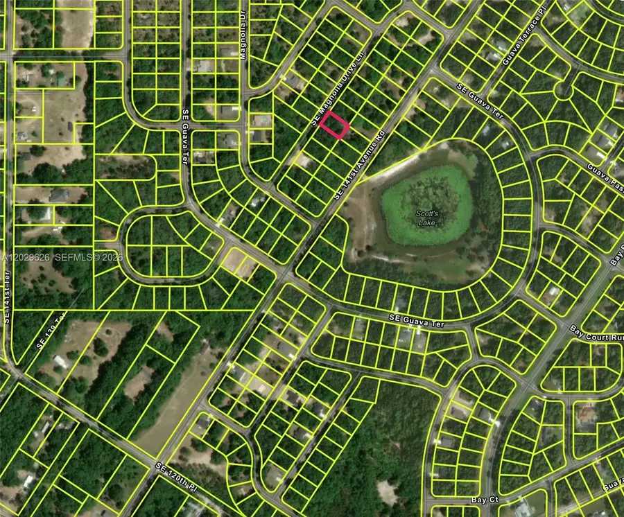 n/a SE Magnolia Drive Ln, East Marion, FL 32179 - #2