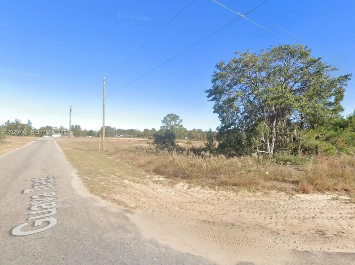 n/a Fisher Run Trace, East Marion, FL 32179 - #1