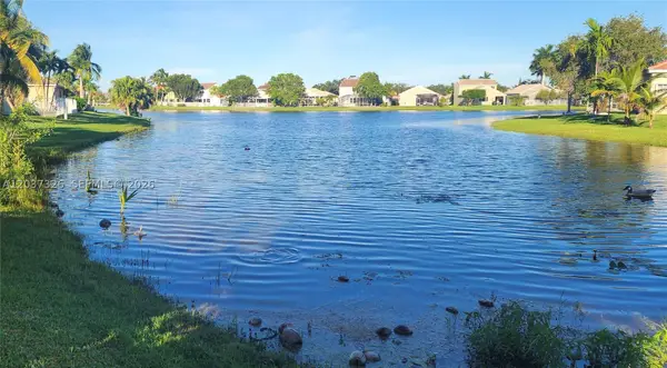 649 Willow Bend Rd, Weston, FL 33327