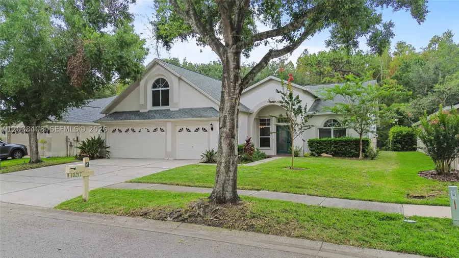 10217 Timberland Point Drive, Tampa, FL 33647 - #2