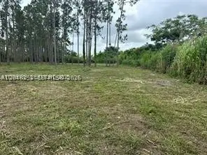 19440 SW 232 St, Homestead, FL 33034 - #3