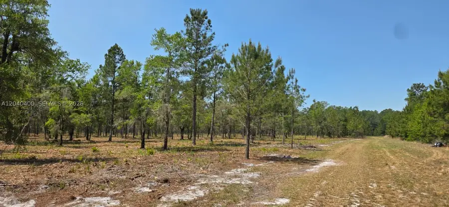 xx SE 225th Dr, Hawthorne, FL 32640 - #3