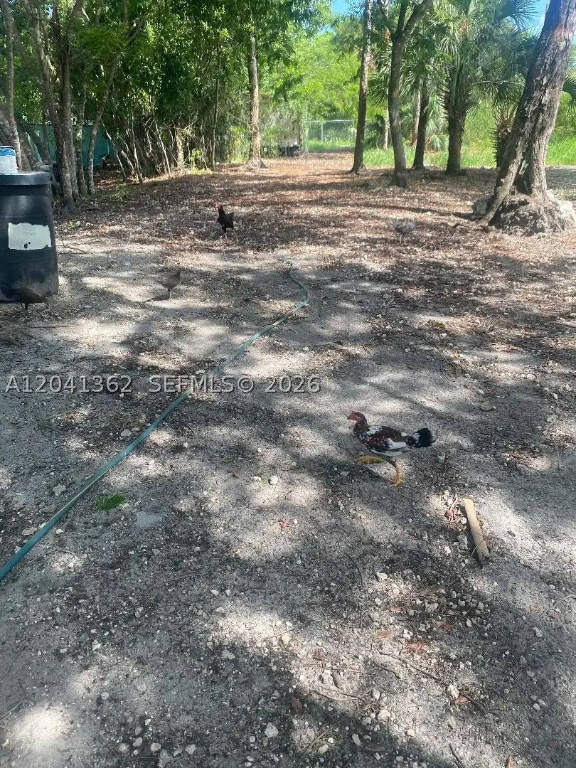 23625 SW 125 Av, Homestead, FL 33032 - #3