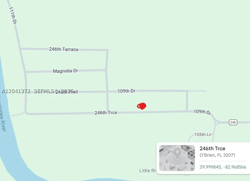 0 246th Trce, O Brien, FL 32071 - #1