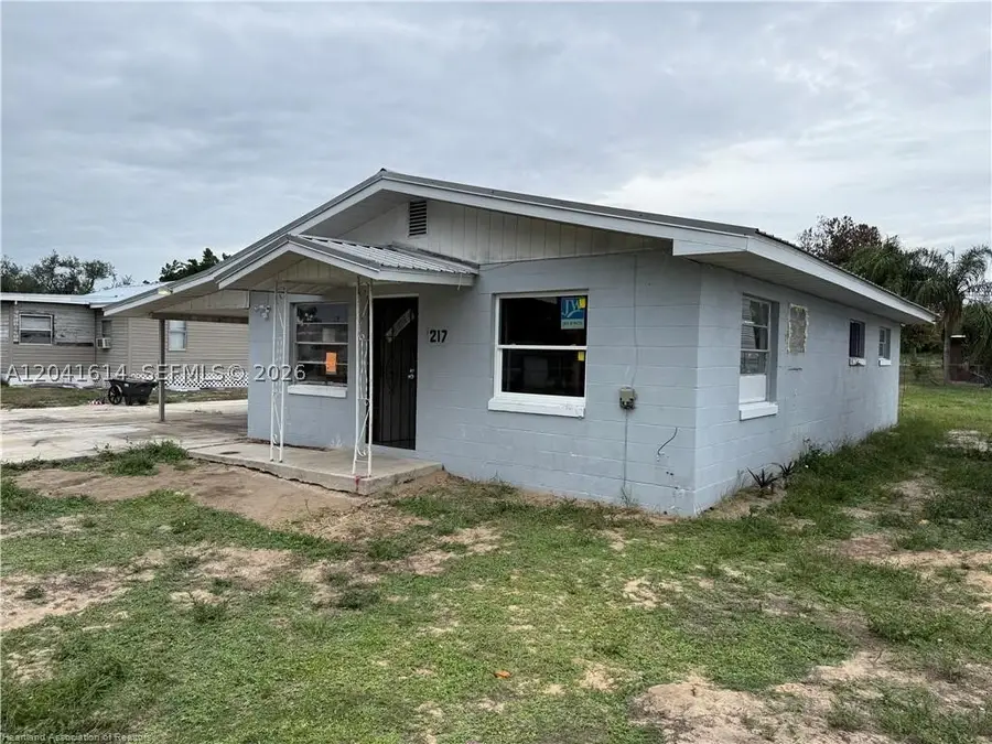 217 Palmetto St, Lake Placid, FL 33852 - #3